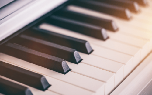 E Piano Weiß Test: Die 5 besten (Bestenliste)